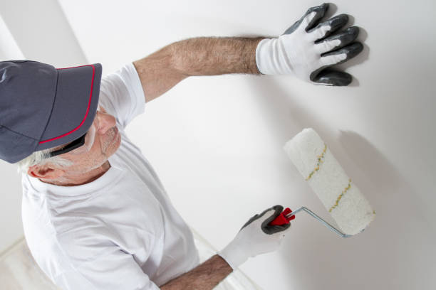 Best Mold Removal for HVAC Installations  in USA